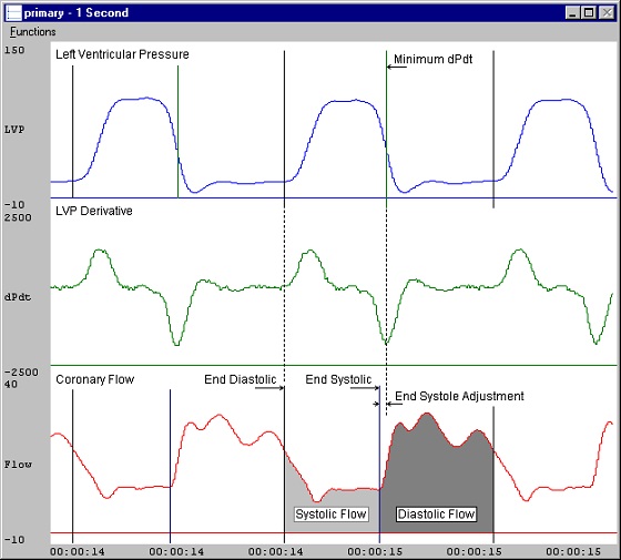 coronary-blood-flow