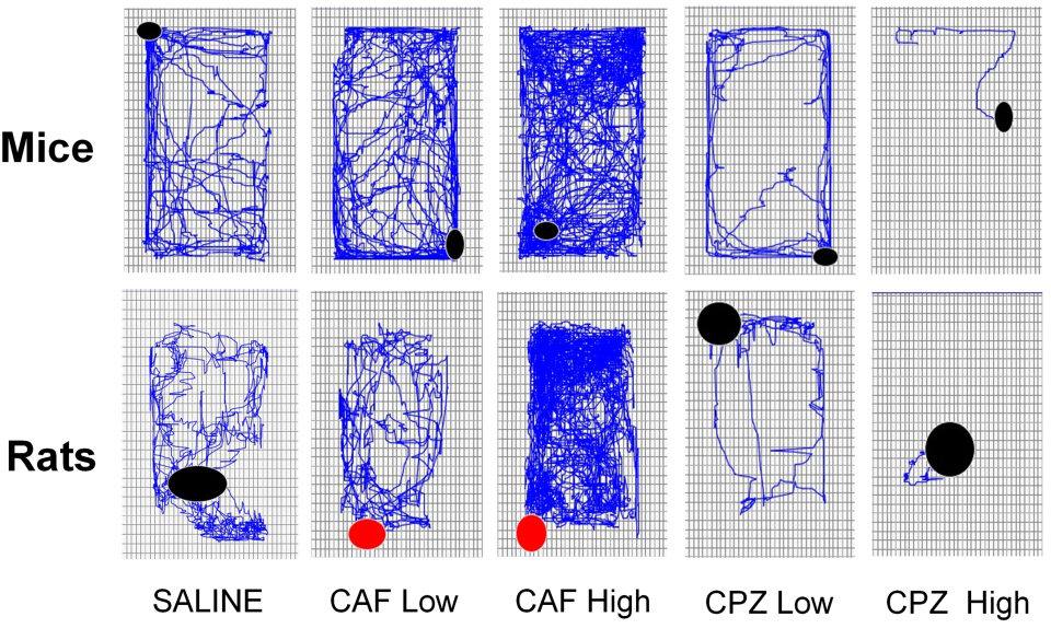 Figure 4 VivaMARS SPS 2024 Poster